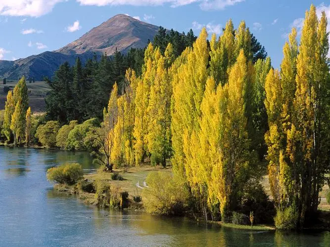 高质量节能全自动